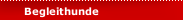Begleithunde