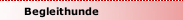 Begleithunde